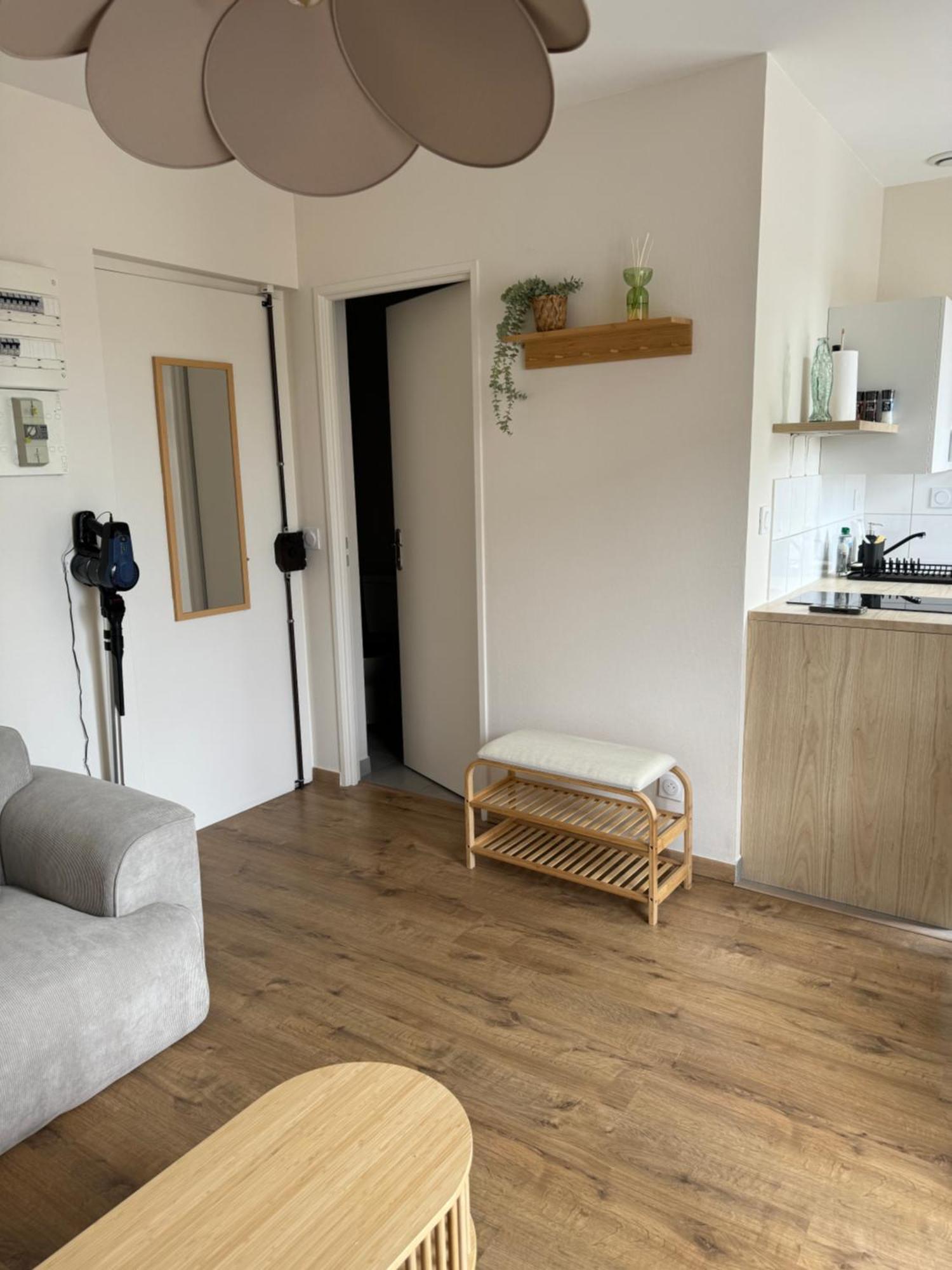 Appartement Avec Une Chambre Lyon Extérieur photo