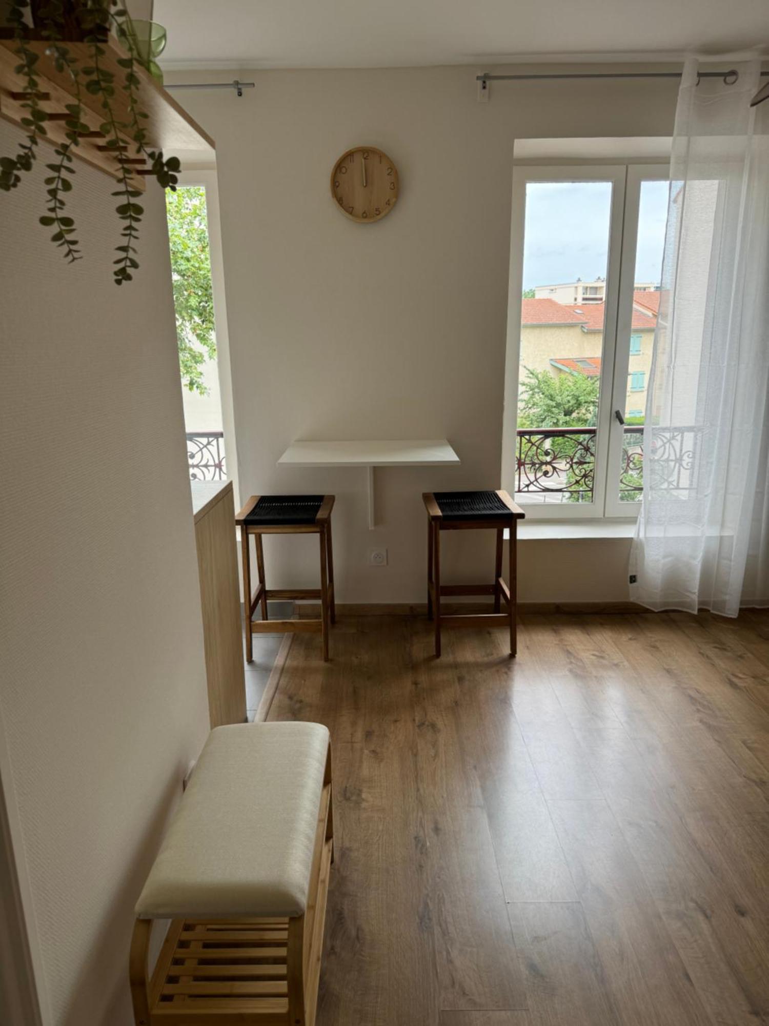 Appartement Avec Une Chambre Lyon Extérieur photo